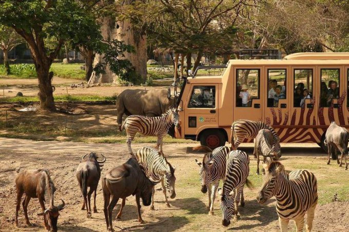 Vườn thú Safari